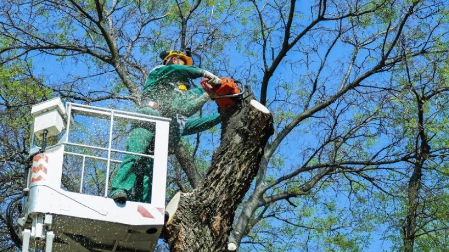 Klaster Slavonski hrast bogatiji za dva člana!