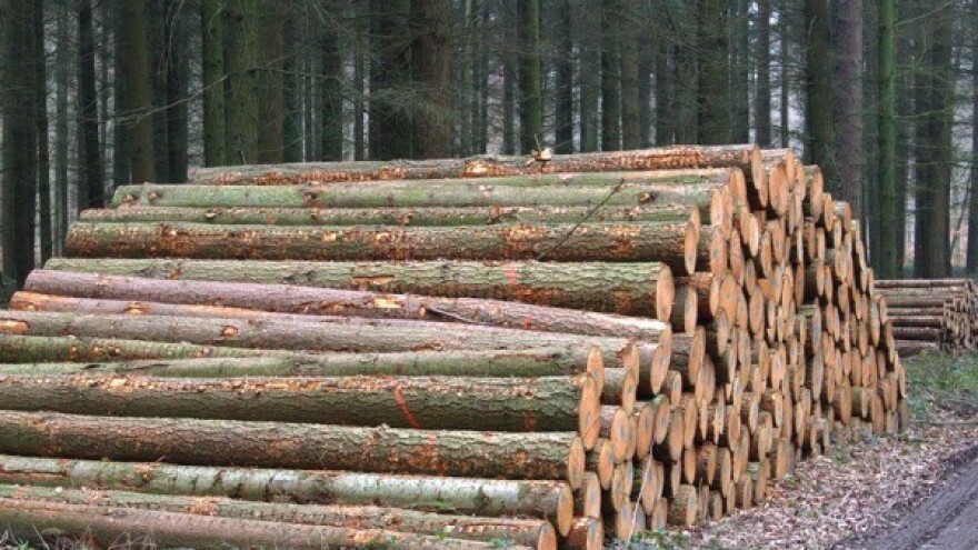 Potpisana isporuka drvnih sortimenata u 2016. godini