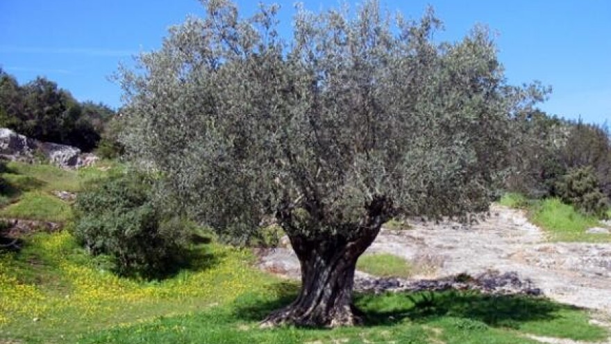 HZPSS-u odobren novi projekt