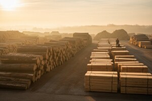 Drvo - naš strateški prioritet