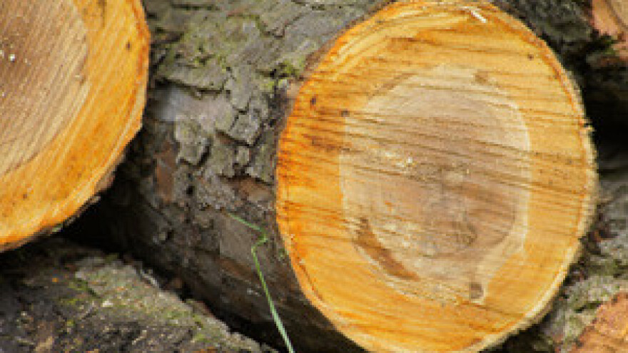 Ministar Jakovina otvara novu tvornicu vrijednu 91,5 milijuna kuna