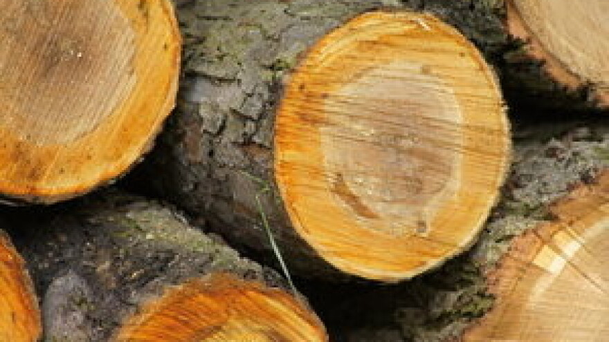 Jakovina položio još jedan kamen temeljac