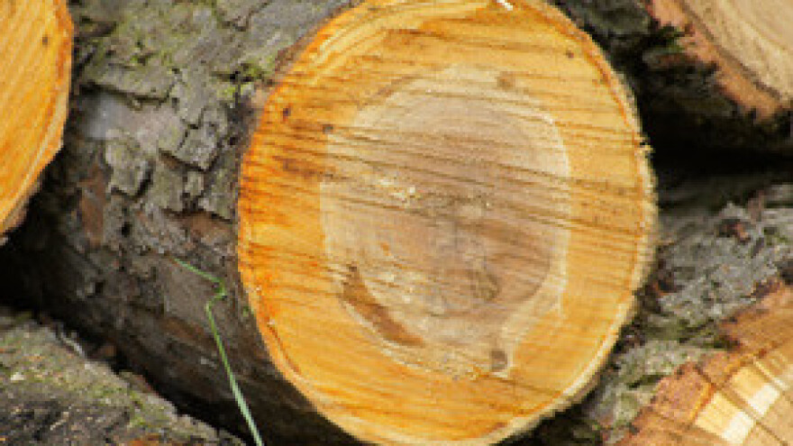 Pismo razumijevanja za formiranje količina, cijena i rabatne politike te višegodišnjih ugovora za kupoprodaju trupaca