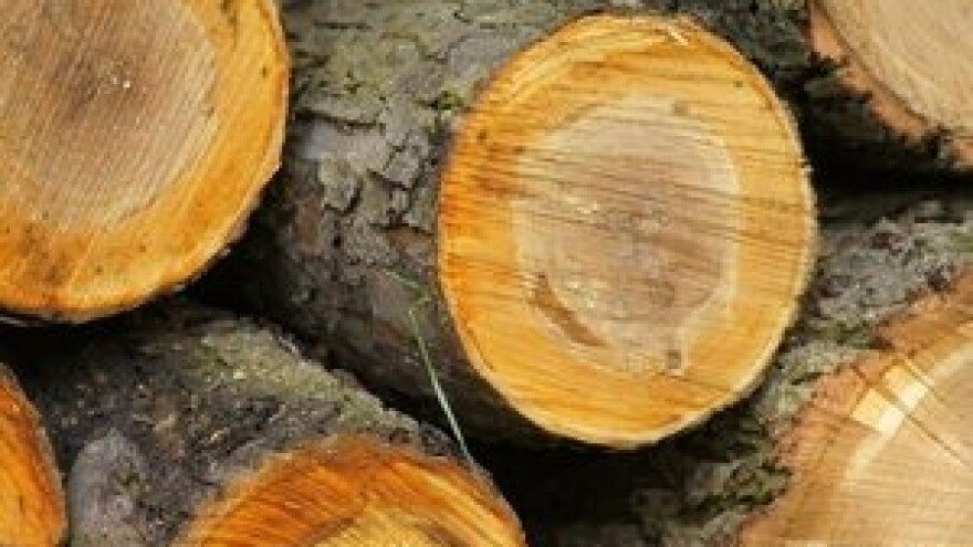 Mali drvoprerađivači u potrazi za ulagačima