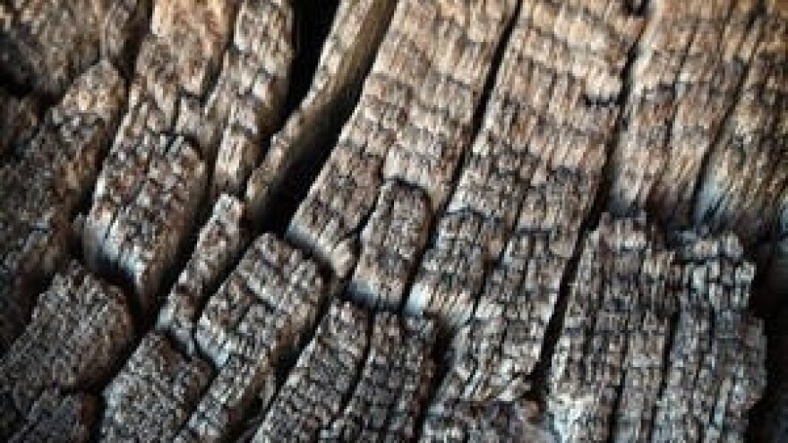 Sve je manje izlagača na Ambienti