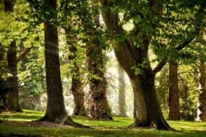 4. Kongres pilanara Jugoistočne Europe