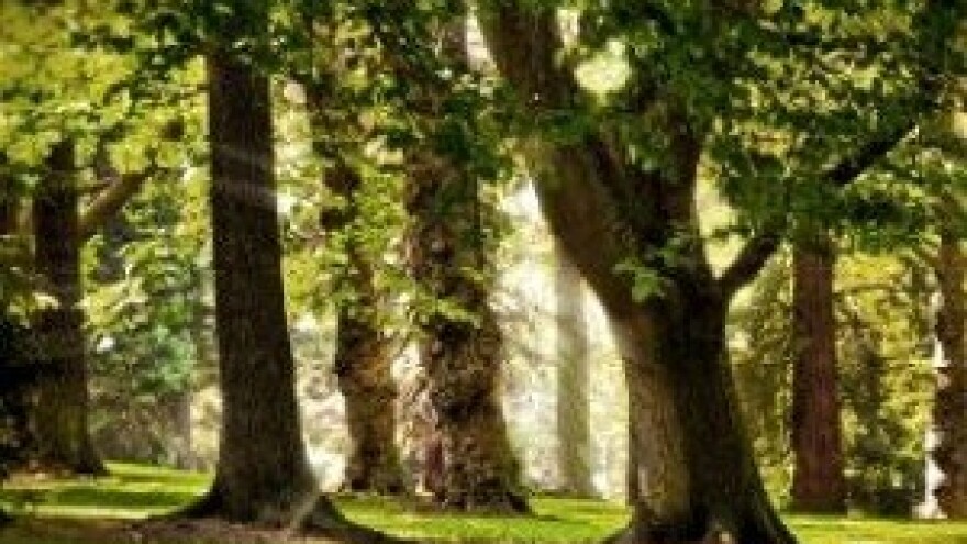 4. Kongres pilanara Jugoistočne Europe