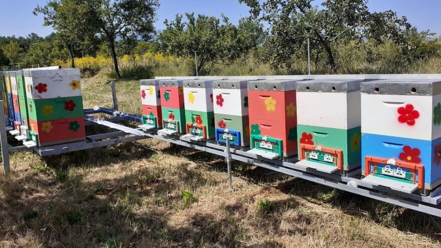 Novi Pravilnik o držanju pčela treba stornirati ili će se ugasiti mnogi PG-ovi