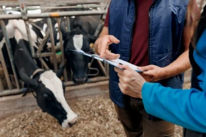 Državna revizorska institucija: Uprava za veterinu teško kršila obavezu dobrog poslovanja