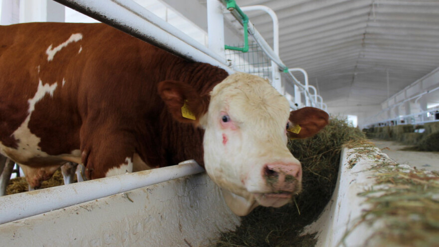 Za sufinanciranje stočarskih uzgojnih udruženja osigurano šest milijuna kuna