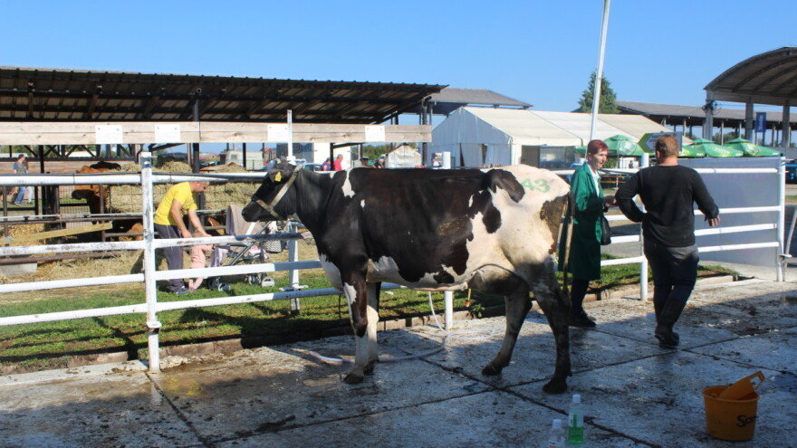 U Gudovac se vratio Stočni sajam!