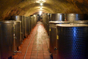 Francuska će ove godine proizvesti 44,7 milijuna hektolitara vina