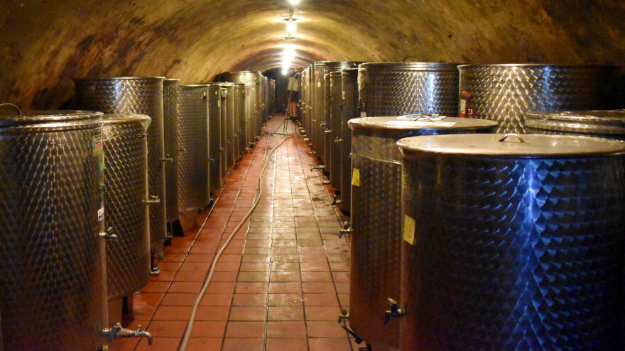 Francuska će ove godine proizvesti 44,7 milijuna hektolitara vina