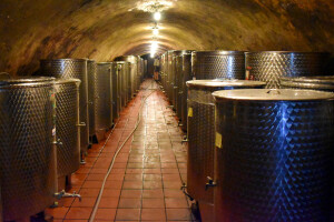 Francuska će ove godine proizvesti 44,7 milijuna hektolitara vina