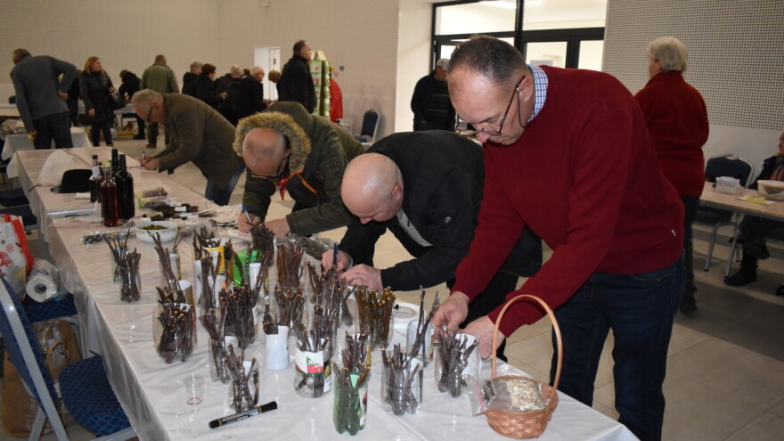 Poznat je datum razmjene plemki voća, vinove loze i sjemena povrća Cernik 2025