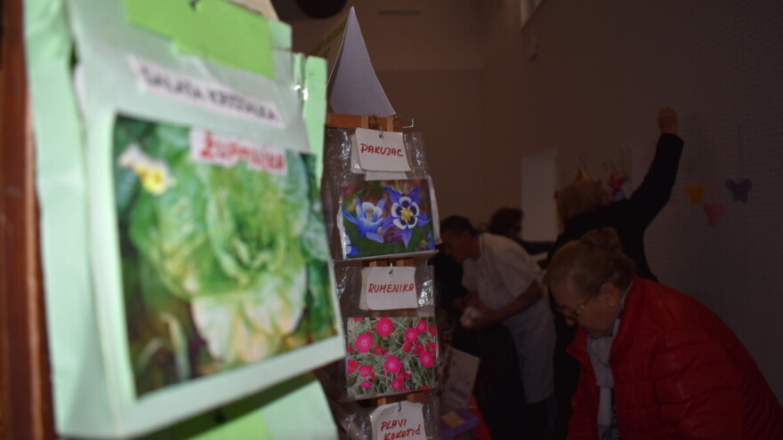 Sačuvajmo stare sorte Cernik 2025.