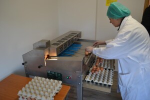 Otvoren pakirni centar za jaja iz slobodnog uzgoja vrijedan 4,5 milijuna kuna