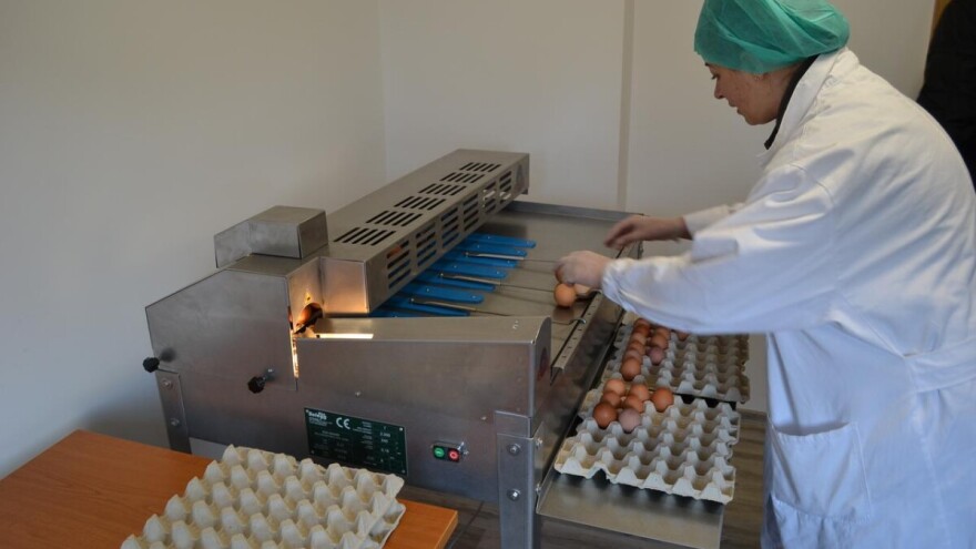 Otvoren pakirni centar za jaja iz slobodnog uzgoja vrijedan 4,5 milijuna kuna