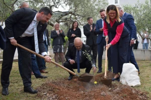 U Supetru otvoren Noćnjak 2022 - maslinare čeka 228 zlatnih medalja