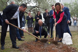 U Supetru otvoren Noćnjak 2022 - maslinare čeka 228 zlatnih medalja