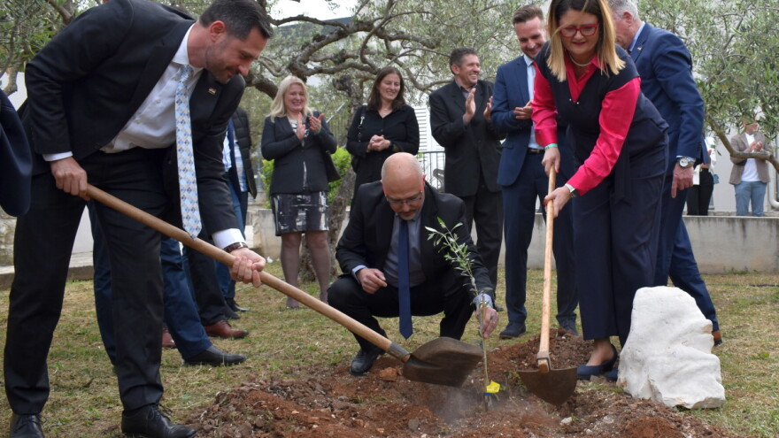 U Supetru otvoren Noćnjak 2022 - maslinare čeka 228 zlatnih medalja