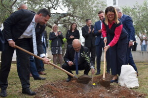 U Supetru otvoren Noćnjak 2022 - maslinare čeka 228 zlatnih medalja