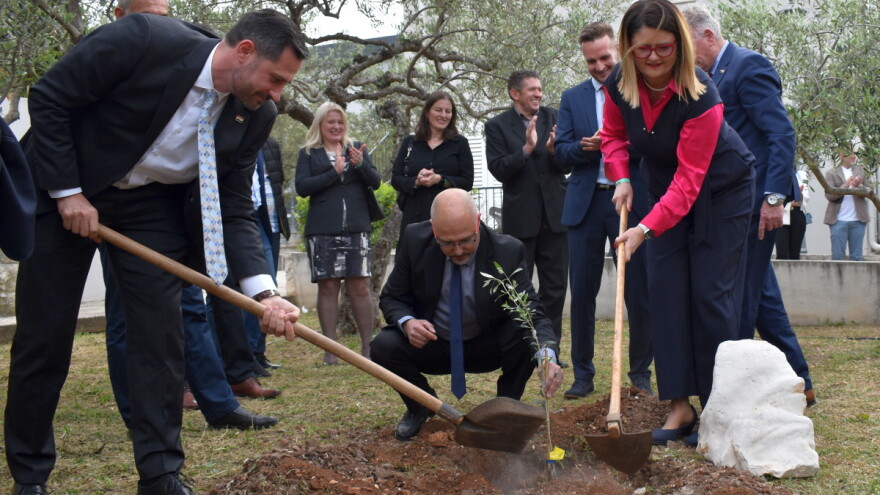 U Supetru otvoren Noćnjak 2022 - maslinare čeka 228 zlatnih medalja