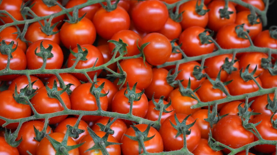 Pada izvoz paradajza iz EU - koliko svežeg se pojede po osobi?