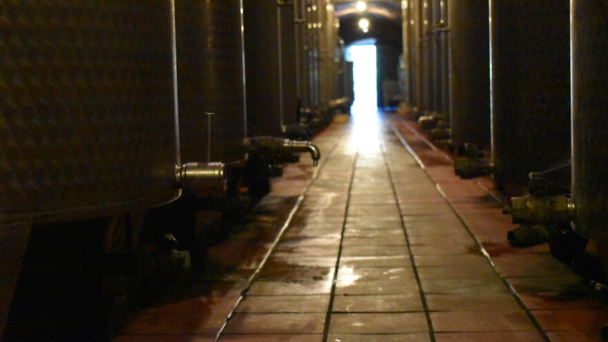 Objavljen je popis proizvođača s utvrđenom kvotom vina za skladištenje