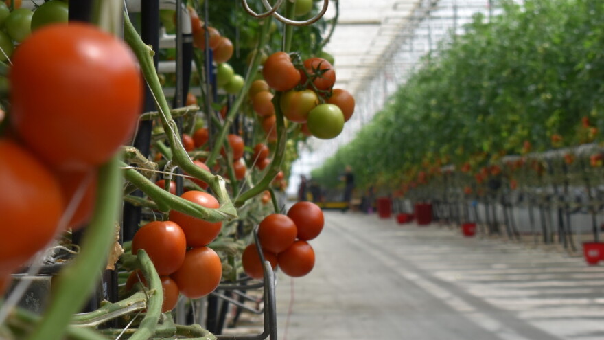 Hrvatska u vrhu zemalja s oštrim rastom potrošnje energije u poljoprivredi i šumarstvu u 2020.