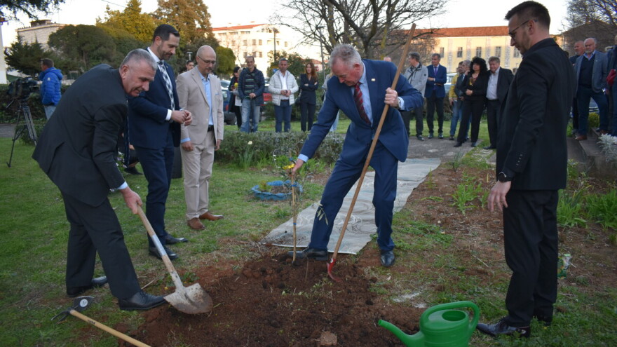 Turizam mora biti više od kreveta i pjata - rješenje je i u maslinarstvu, poruka je s 26. Noćnjaka