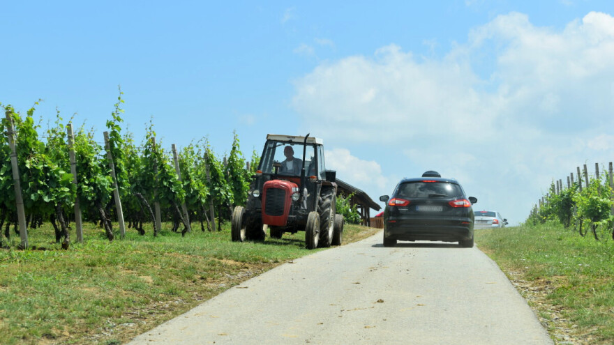 Objavljen natječaj, za restrukturiranje i konverziju vinograda do 550.000 eura po projektu