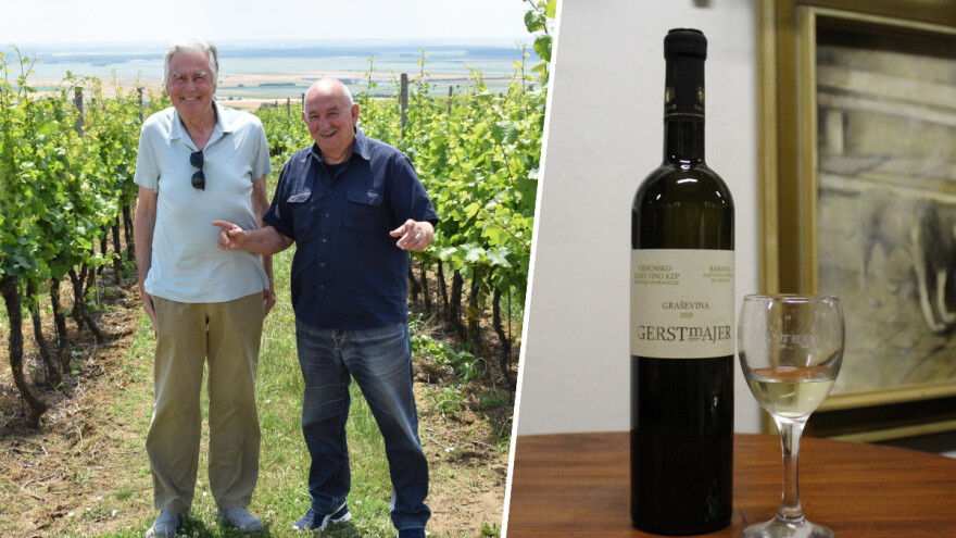 Vinskom turizmu trebaju priredbe, pripovijesti i podučavanja