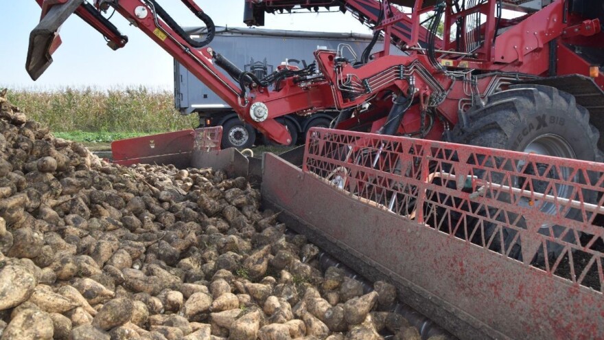 Vučković: Pokušat ćemo pomoći industriji i proizvođačima šećerne repe