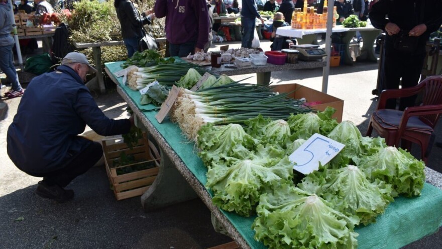 Udruga Ospera: Naručuju eko proizvode za kupce i uzgajaju gljive na talogu od kave