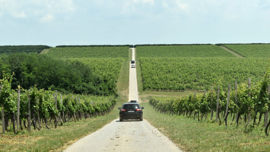 Koliko nam je važan Fortenova agrobiznis?