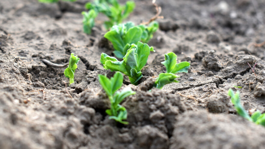 AdubaTec aplikacija izrađuje preporuke za gnojidbu različitih kultura