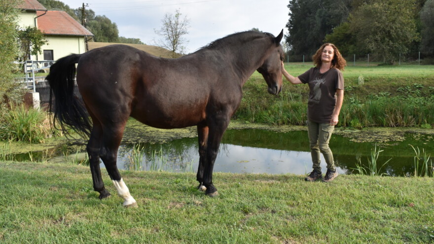Baranjka Ankica Ursić-Molnar u lovu na jelene prijeđe i 20 kilometara