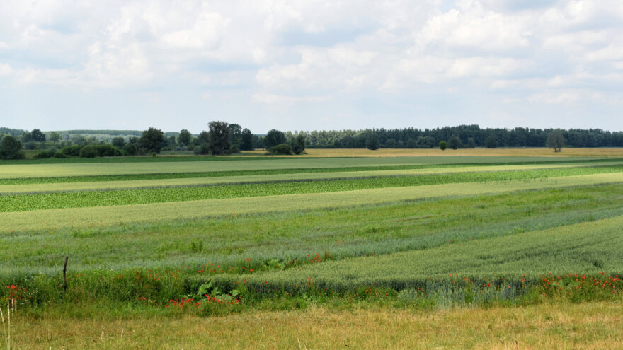 Revizorski sud: Podsticaji za bioraznovrsnost suviše mali - u 10 godina EU nije uradila ništa?