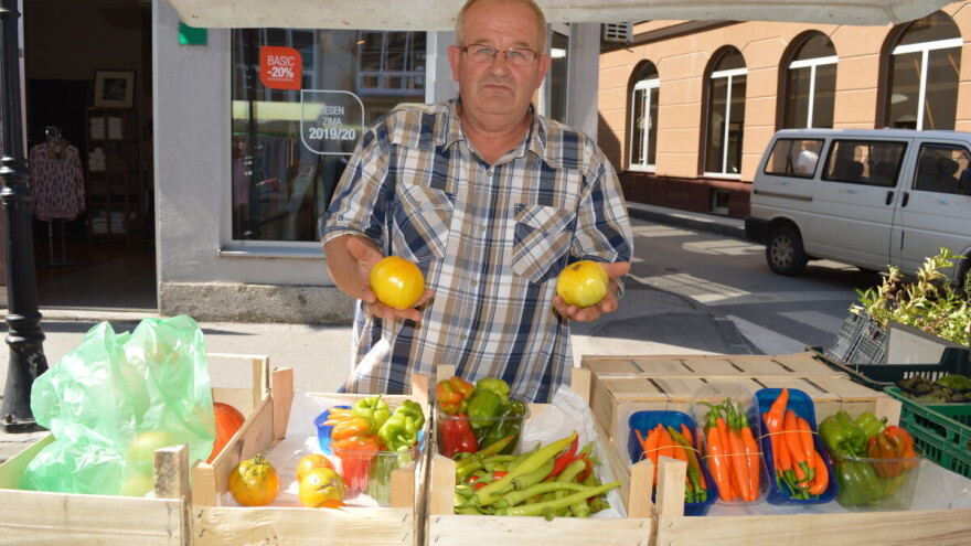 Vlado Ferzanović proizvodi i čuva staru sortu paradajza – bosanski žuti