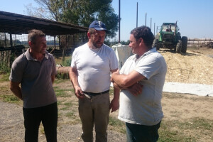 Iz proizvodnje mlijeka u sustav krava-tele