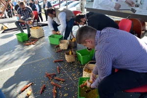 Natjecanje na sajmu OPG-ova: U minuti orunili gotovo 2,5 kg zrna kukuruza