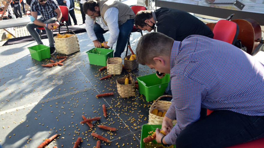 Natjecanje na sajmu OPG-ova: U minuti orunili gotovo 2,5 kg zrna kukuruza