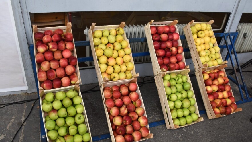 "Dani jabuke" u Goraždu okupili brojne izlagače