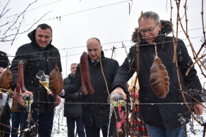 Snijeg kao rado viđen gost na baranjskoj Vinceški - vinogradarska godina može početi