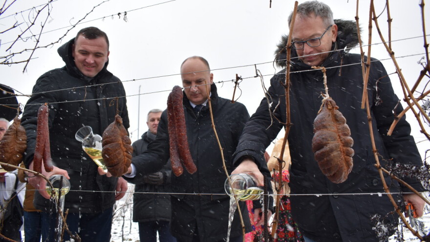 Snijeg kao rado viđen gost na baranjskoj Vinceški - vinogradarska godina može početi