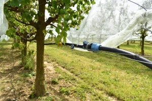 Voćari traže podršku za izgradnju sustava navodnjavanja u Velikoj Ludini