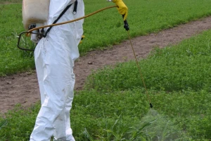 Kako pravilno preračunati potrebne doze pesticida?