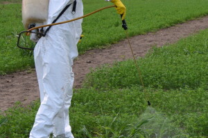 Kako pravilno preračunati potrebne doze pesticida?