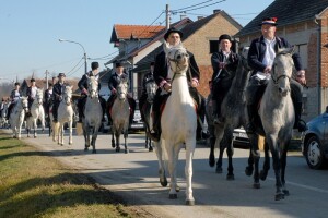 Od uzgoja konja nema ništa - osim ljubavi!